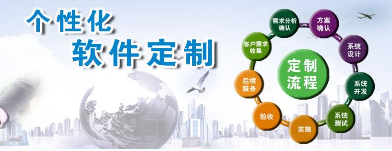 哪家软件公司支持个性化定制